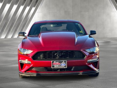 2019 Ford Mustang EcoBoost
