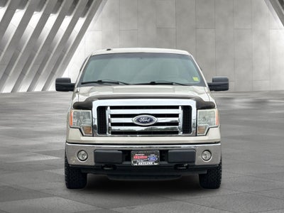 2010 Ford F-150 XLT