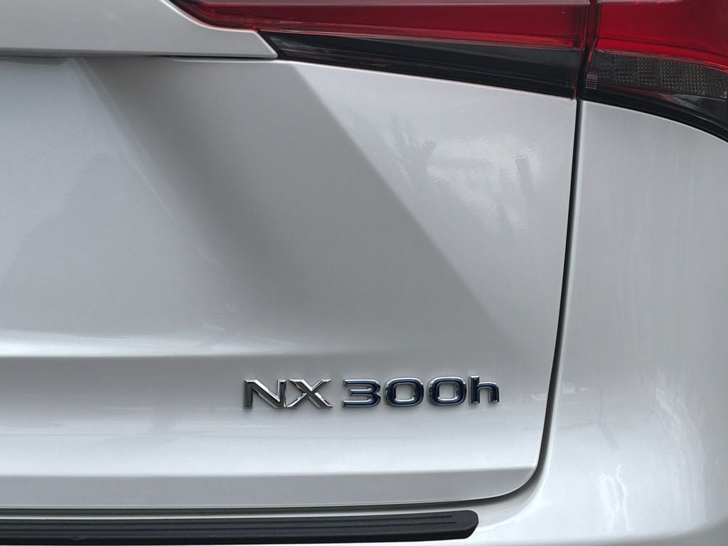 2020 Lexus NX 300h