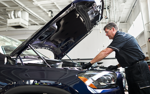 B Service starting at $689.95